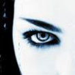 Silvedko